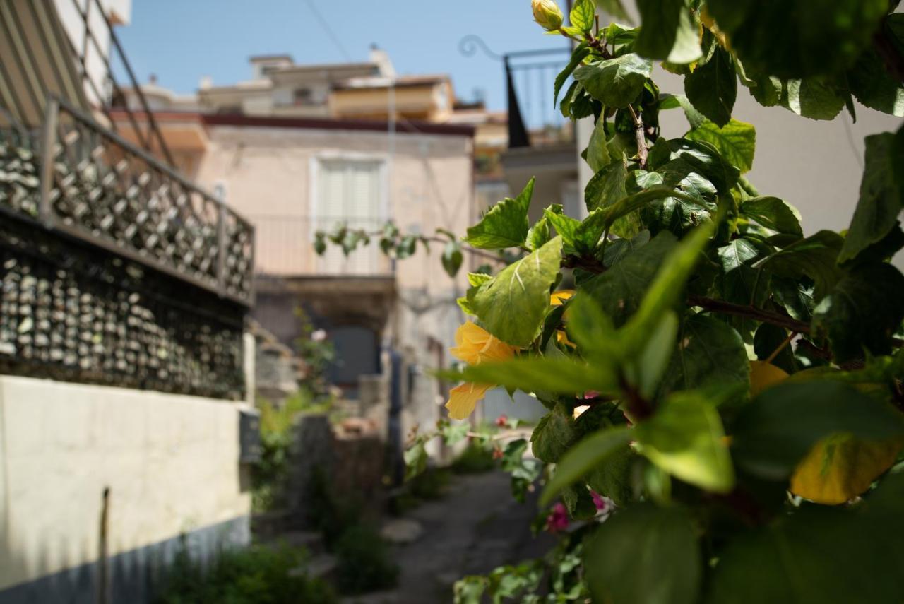 Nick & Santo'S Holiday Homes B&B Giardini Naxos Exterior photo